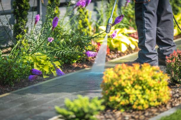 Best Parking Lot and Garage Cleaning  in Cetronia, PA
